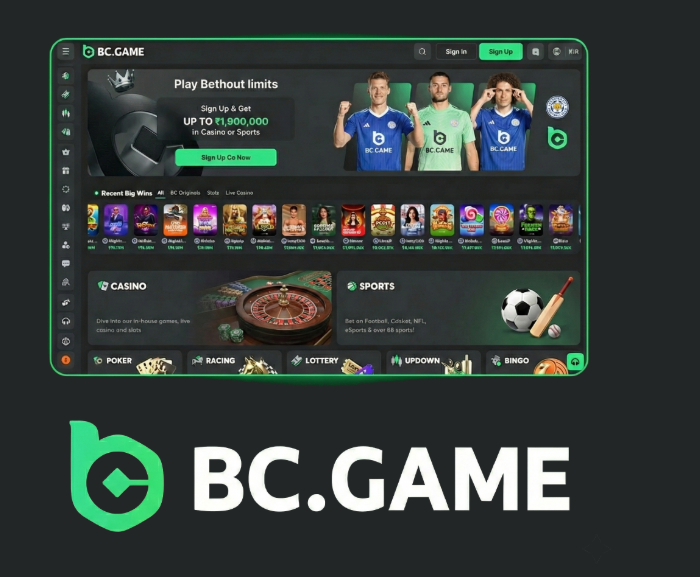 BC App Review A Comprehensive Guide to Features and Use